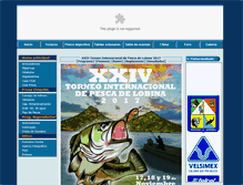 Tablet Screenshot of elanzuelo.com.mx
